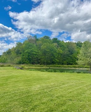 Recreational Hunting Land with Pond