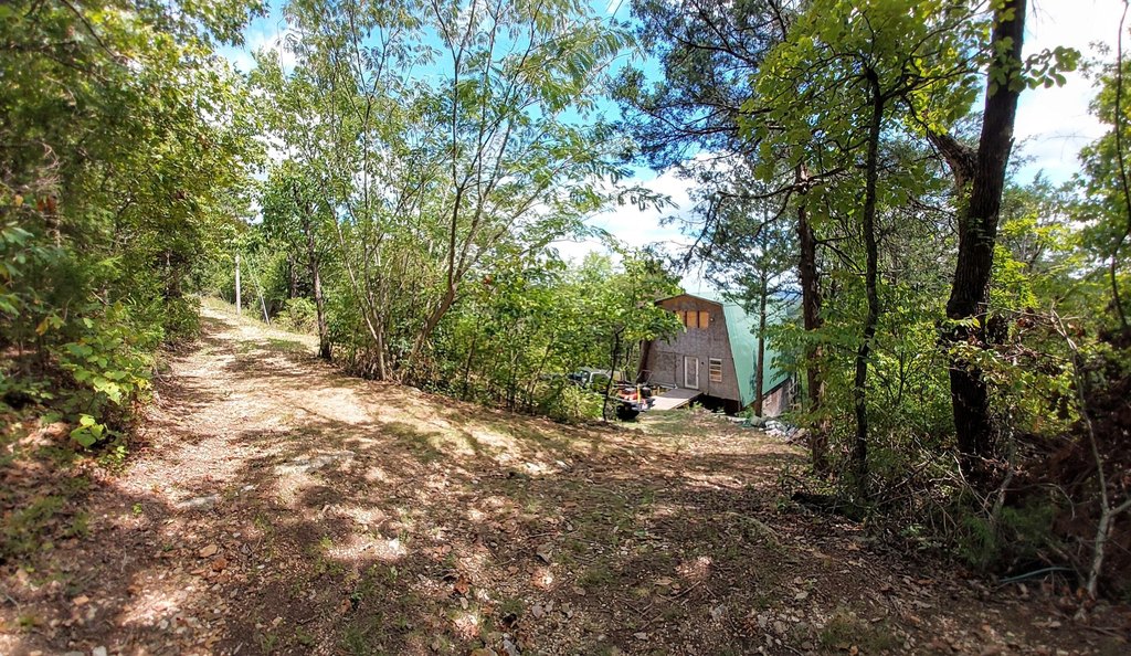 Picture 12