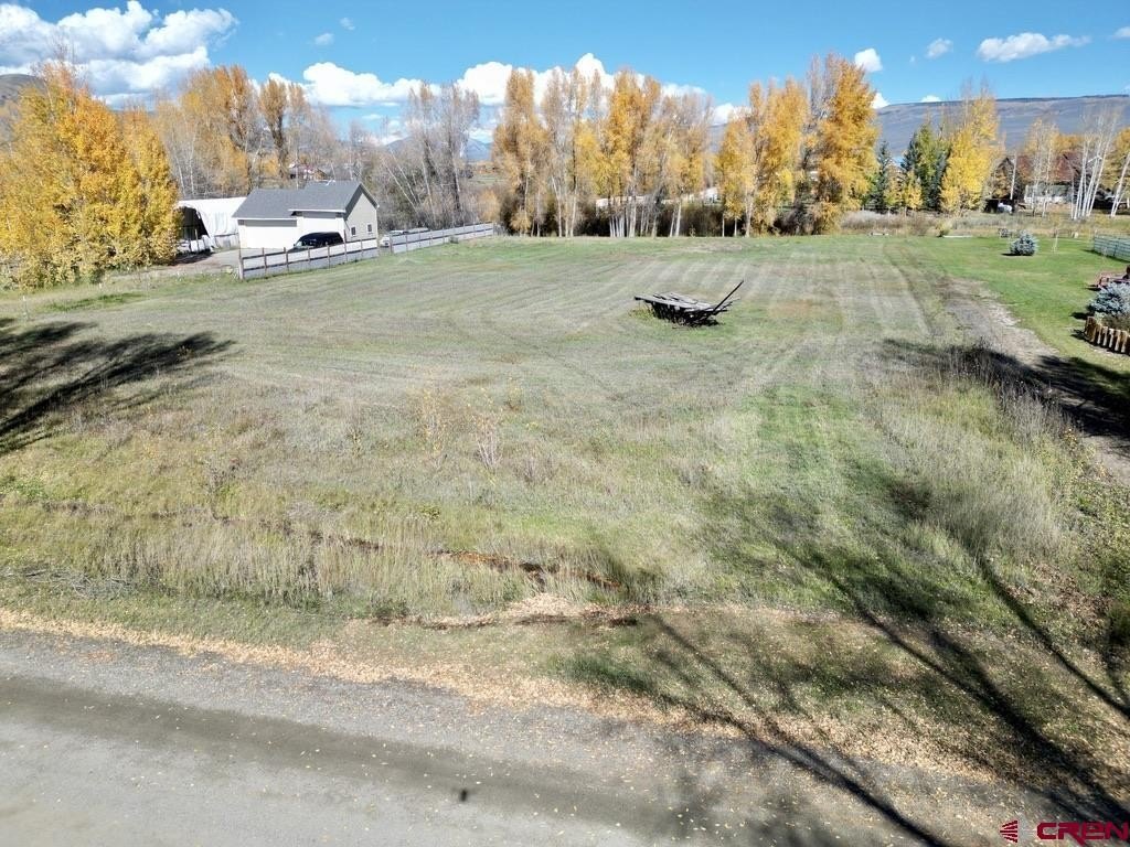 Picture 11