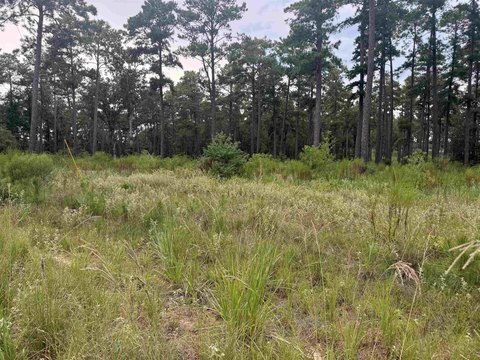 Waterfront Land on Lake Sam