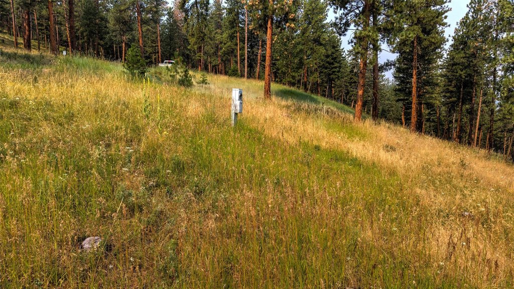 Picture 11