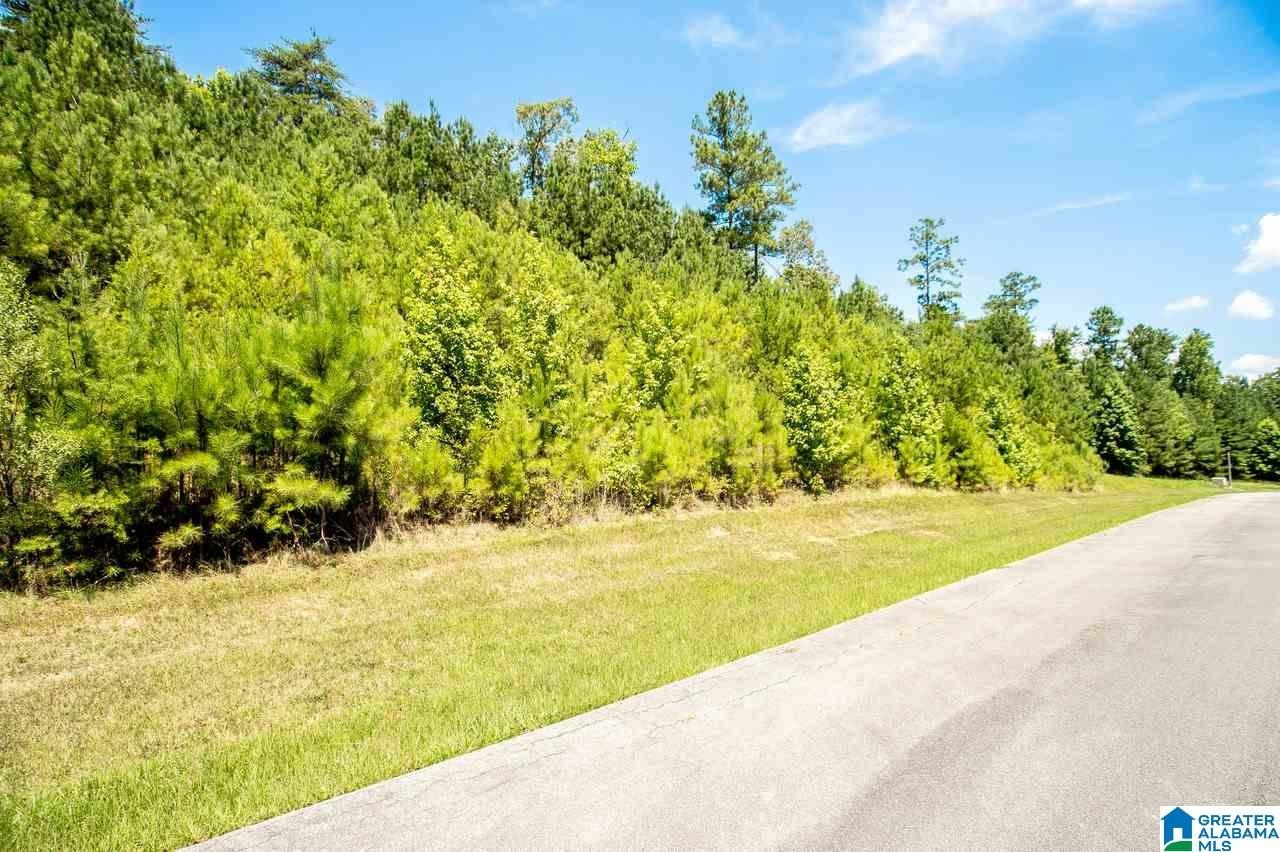 65 Acres Near Downtown Oneonta