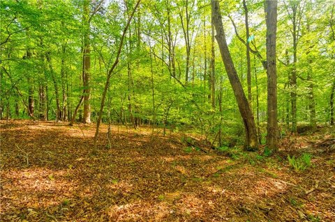 Gainesville Land with Creek