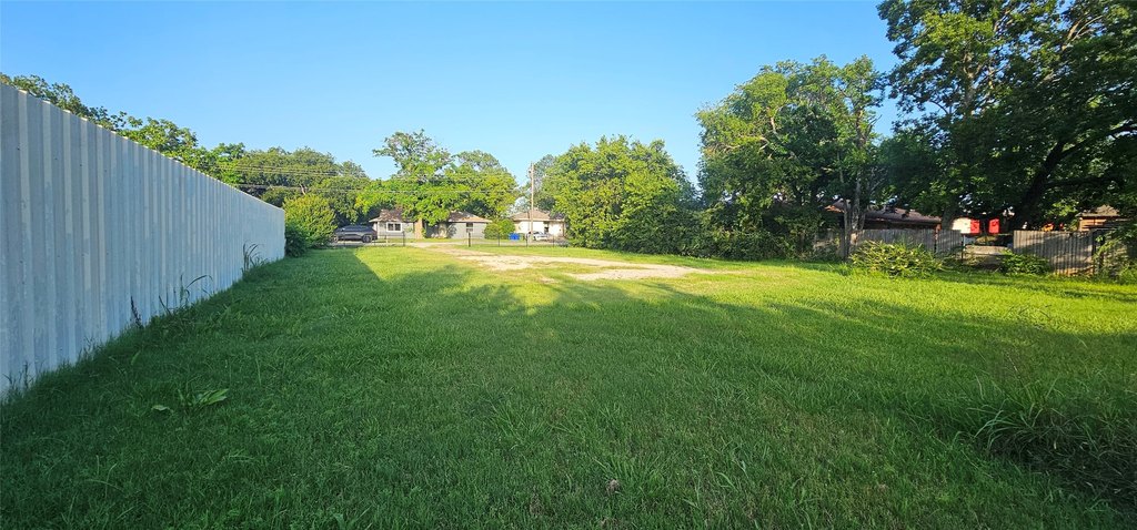 Picture 6
