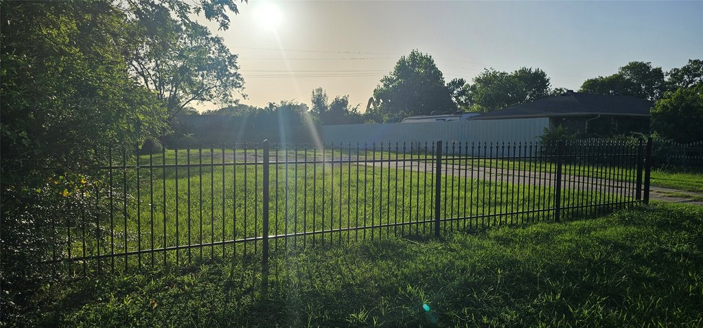 Picture 8