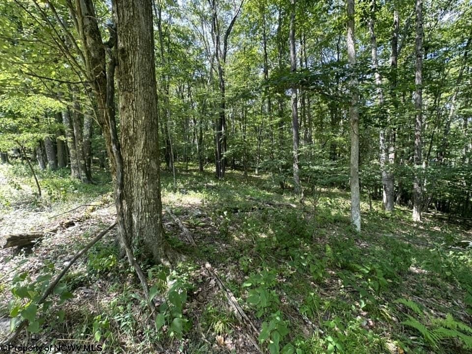 Picture 16