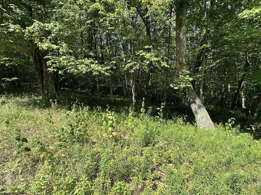 Picture 23