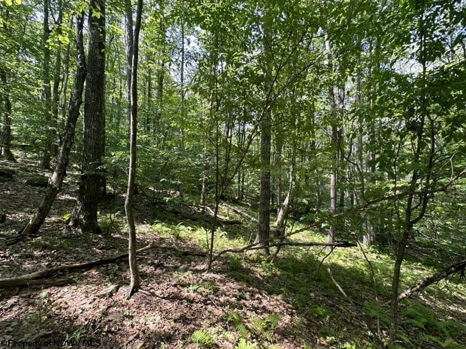 Picture 18