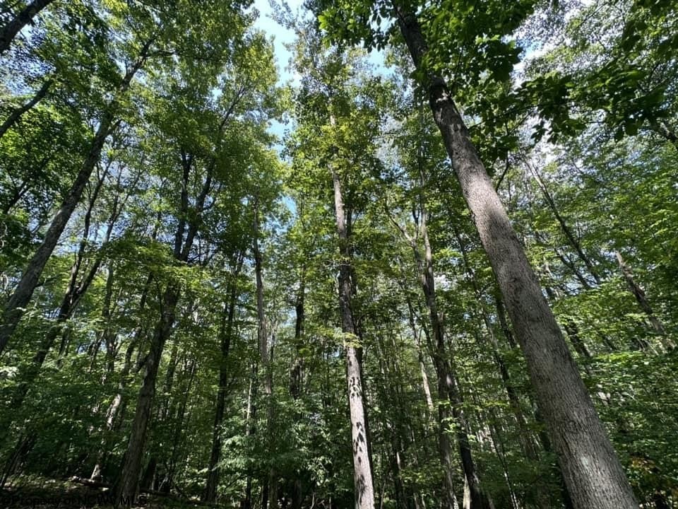Picture 20