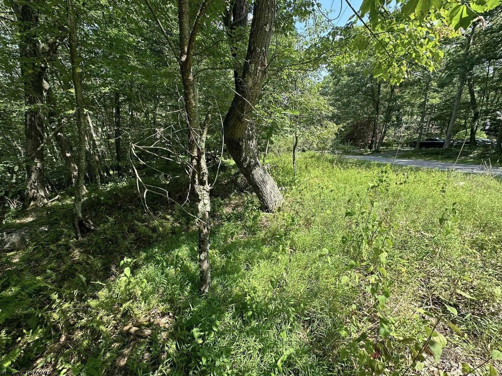 Picture 22