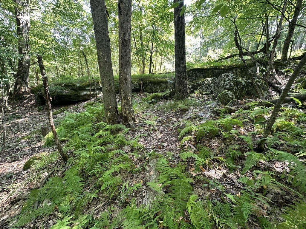 Picture 21
