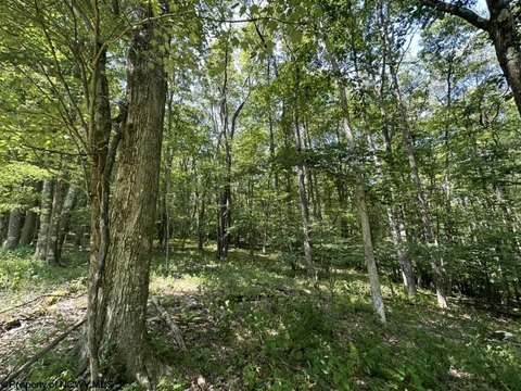 LAND - Terra Alta, WV