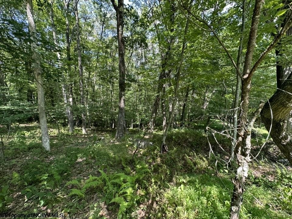 Picture 19