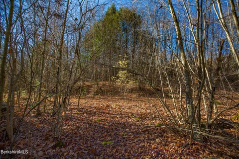 Wooded Lot Near Goose Pond