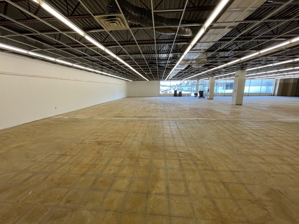 Picture 3