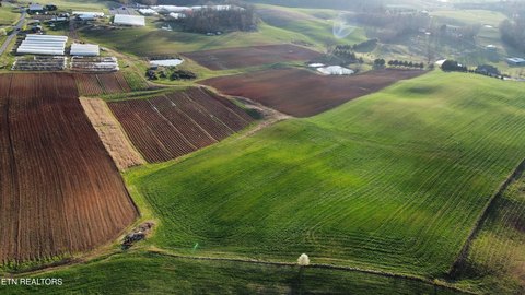 70 Acres Cleared Farmland