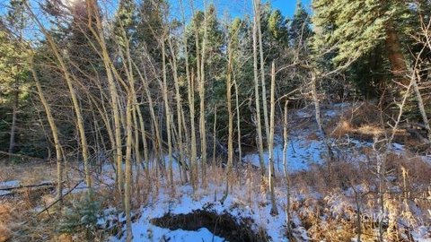Picturesque Land Near Lake Isabel
