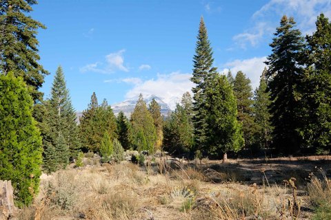 Scenic 5-Acre Parcel in Weed