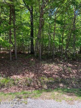 Buildable Lot in Crossville, TN