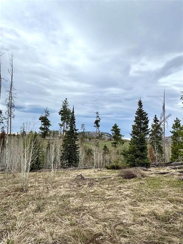 Secluded Land Near Stagecoach Park