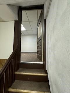 Picture 30