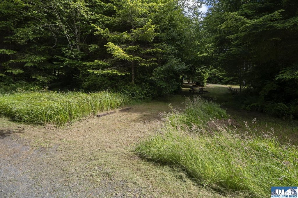 Picture 31