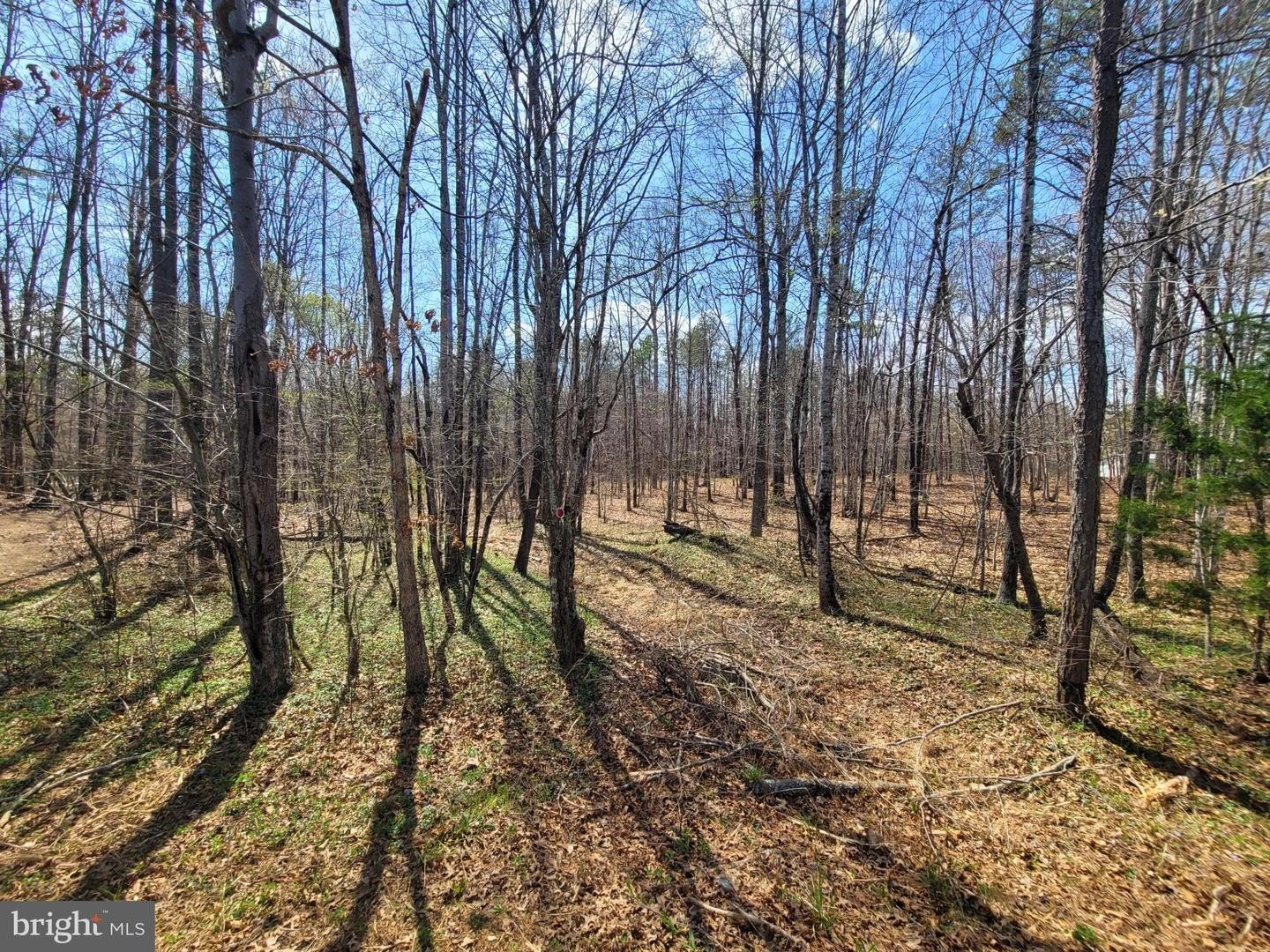 5.23 Acres Wooded Land Parcel