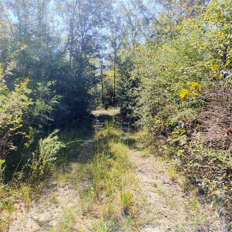 Picture 7