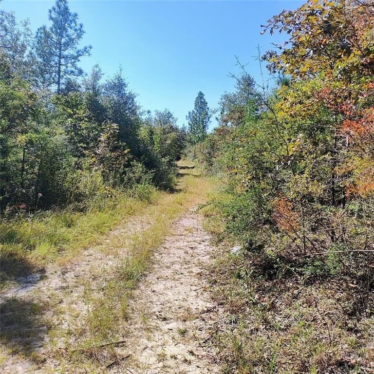 Picture 9