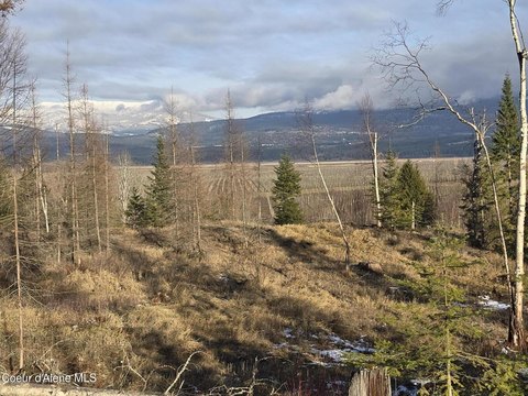 Bonners Ferry Land with Mountain Views