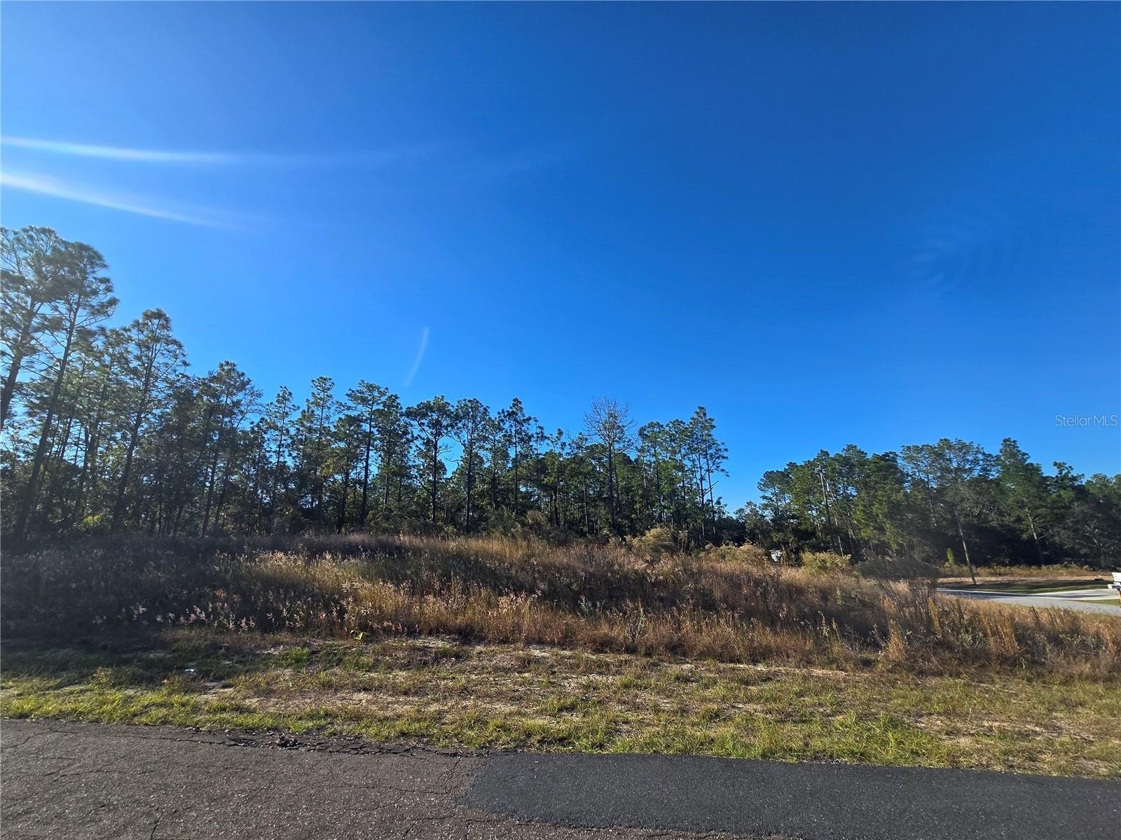 Cleared Corner Lot in Citrus Springs