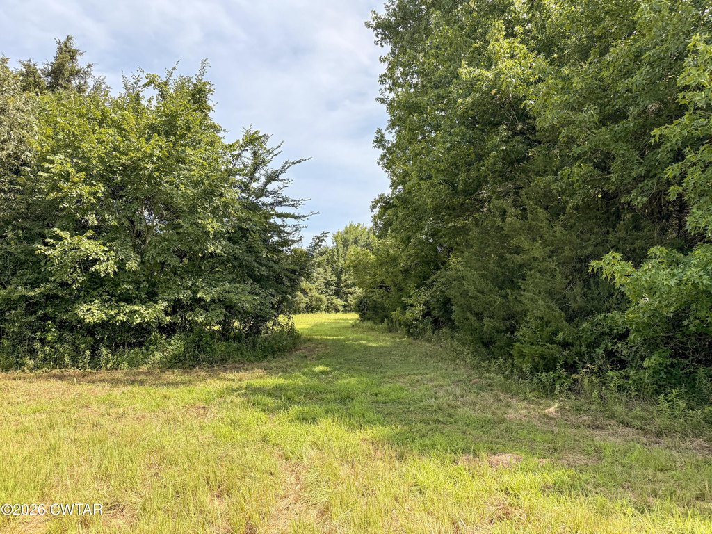 Picture 25