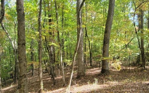 Hayesville Vacant Lot with Well
