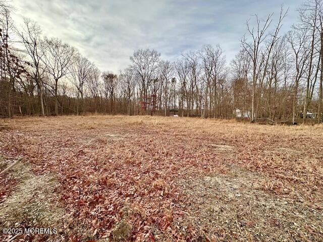 Secluded Wooded Lot in Old Bridge