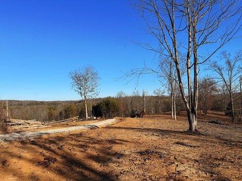 LAND - Williamsburg, KY