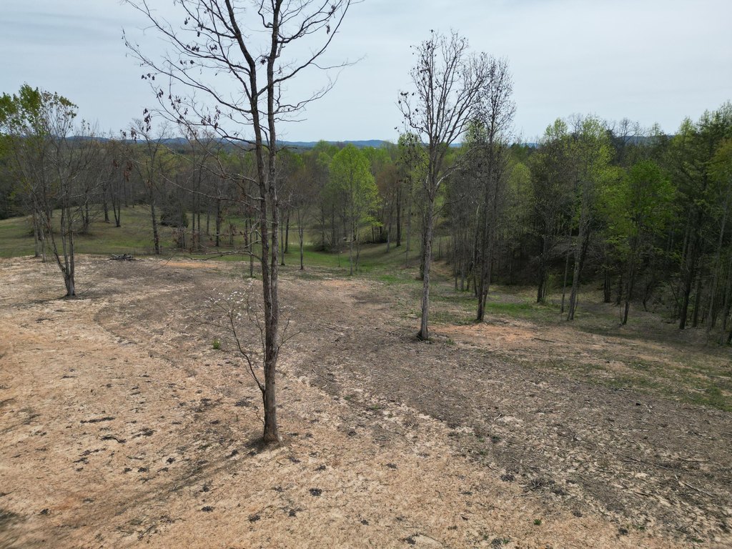 Picture 4