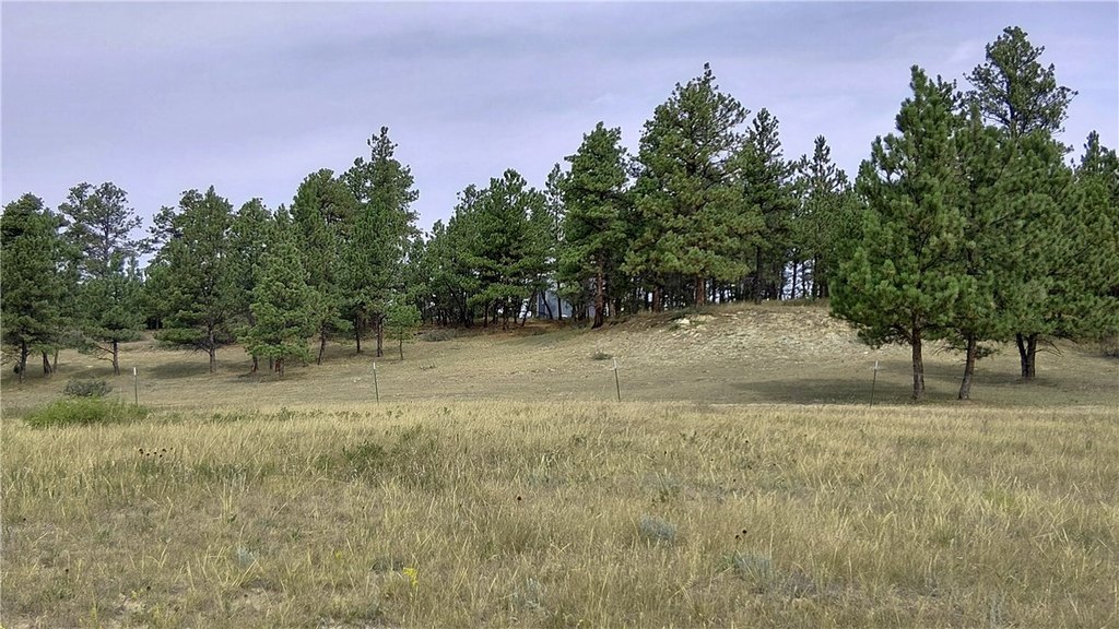 Picture 27