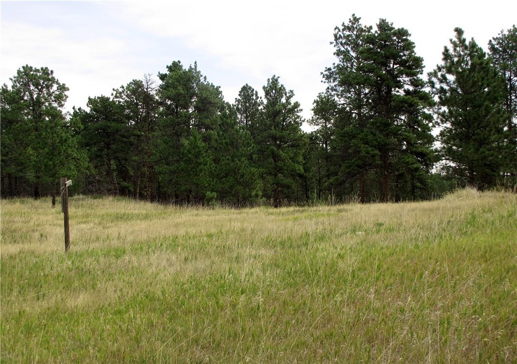 Picture 25