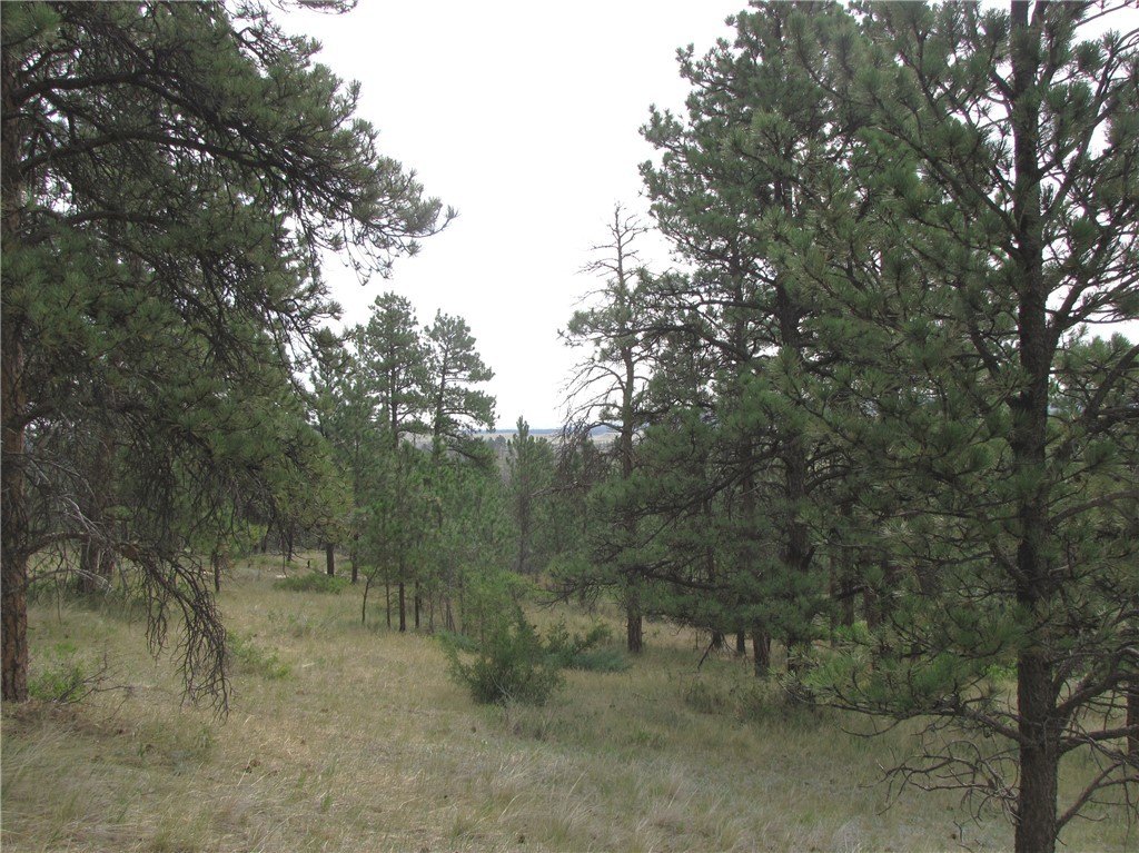 Picture 26