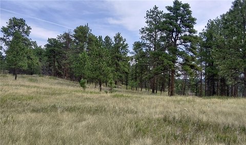 Land, Roundup, MT