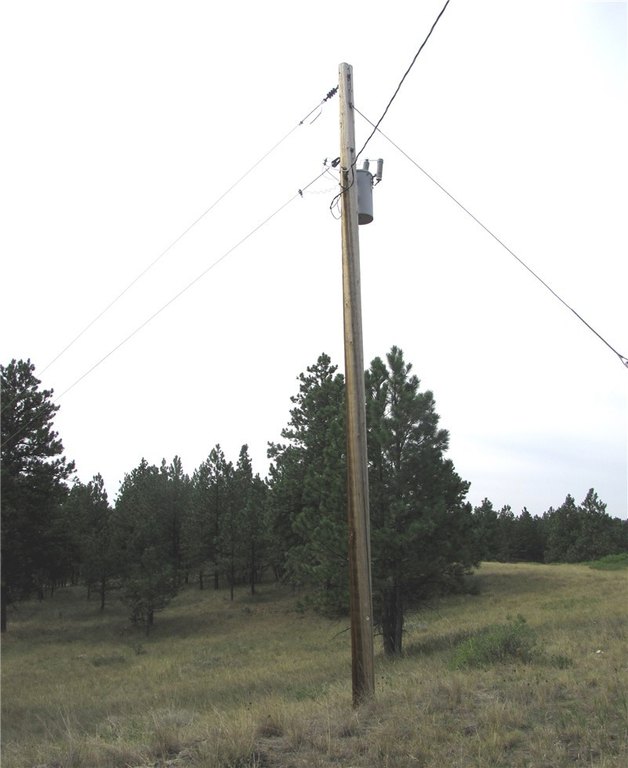Picture 20
