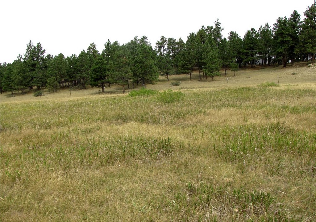 Picture 18