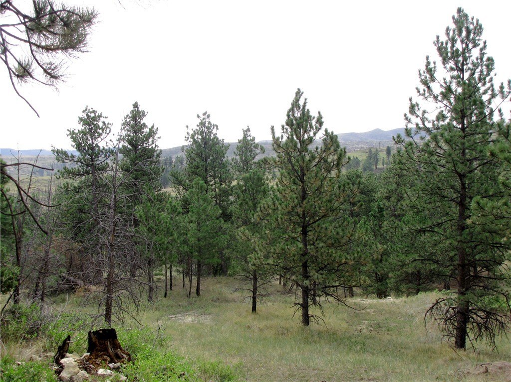Picture 10
