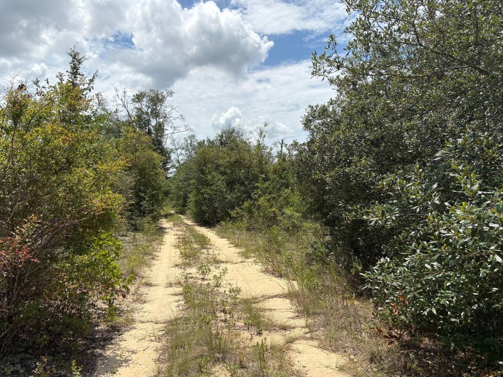 Picture 7