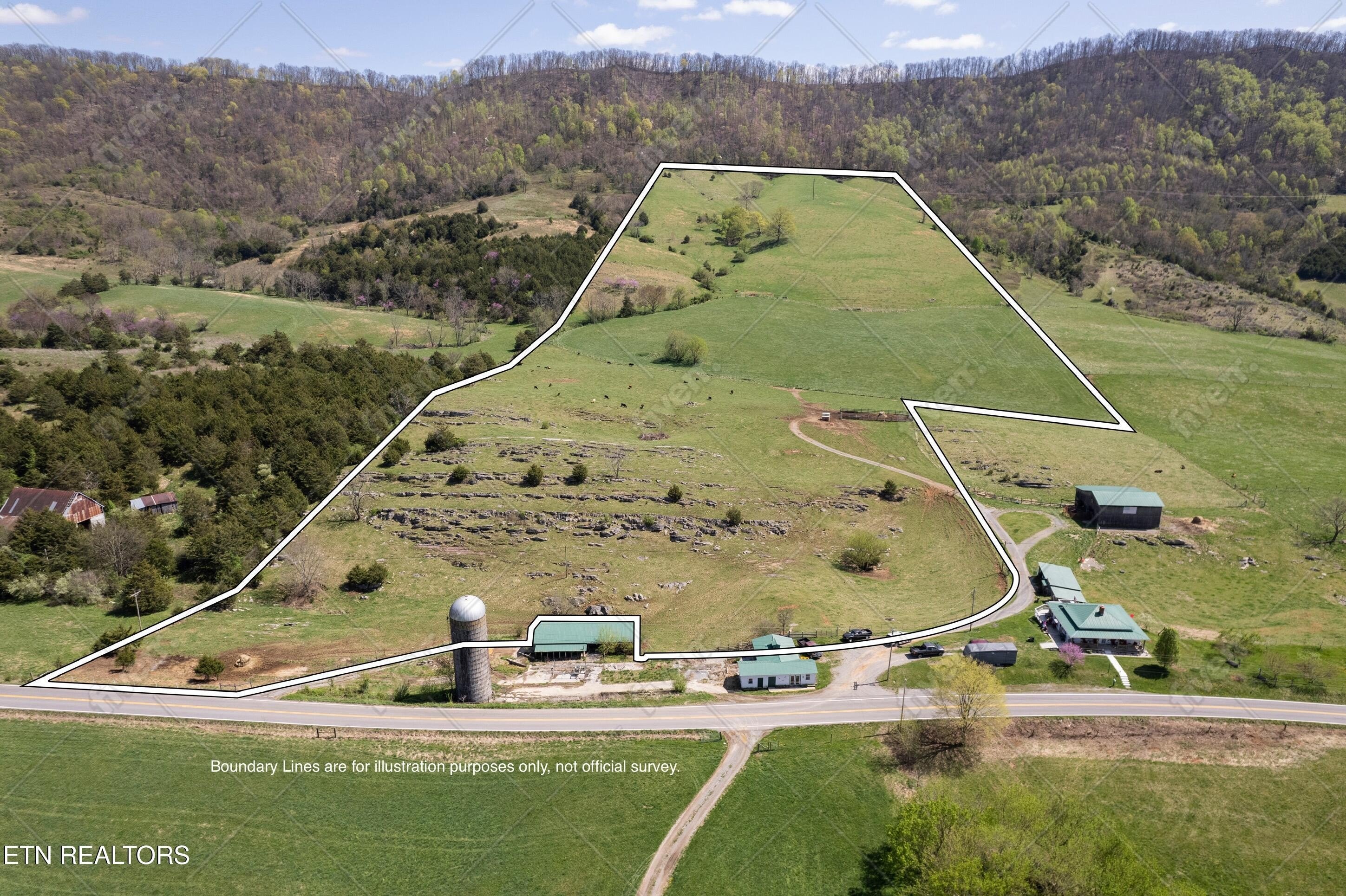 Claiborne County Pasture Land