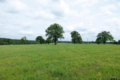 Land with Two Ponds