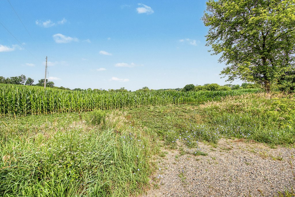 Picture 21