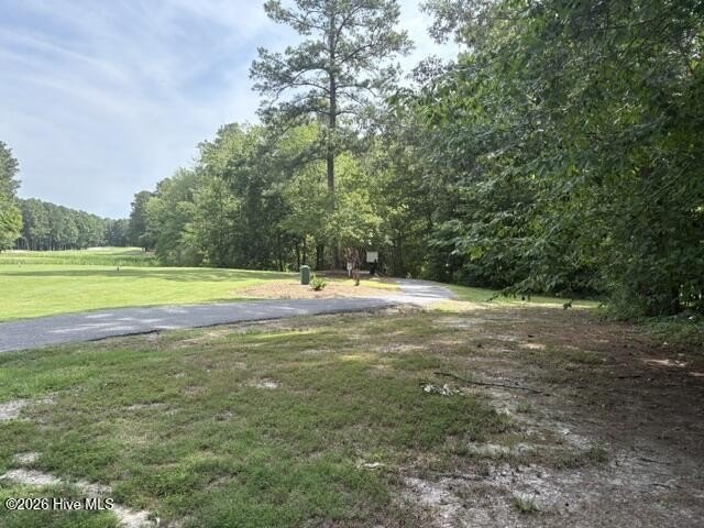Picture 3