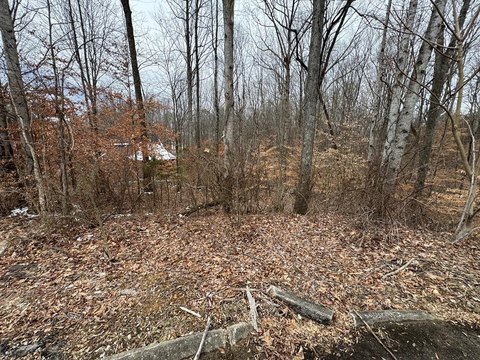 Buildable Lot in Victory Hill
