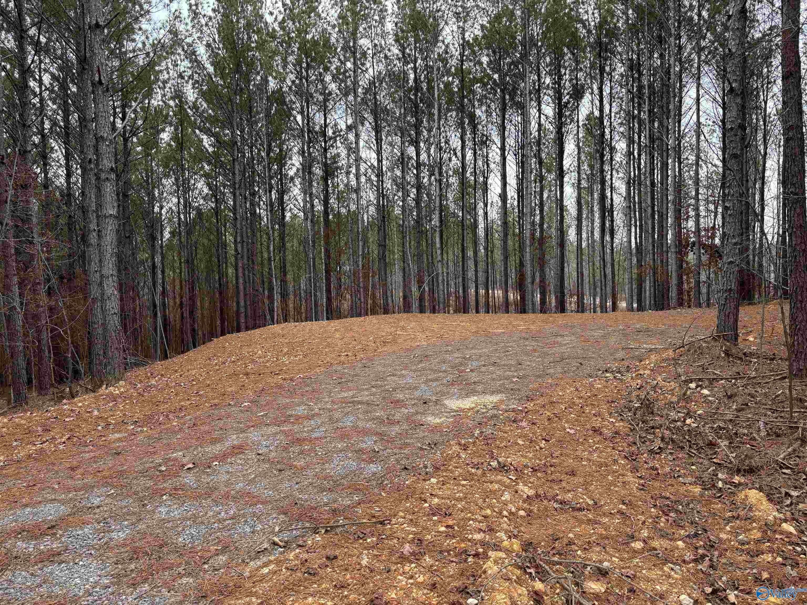 Land Near Weiss Lake